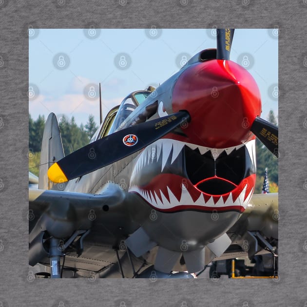 P-40E Shark-Mouth close-up by acefox1